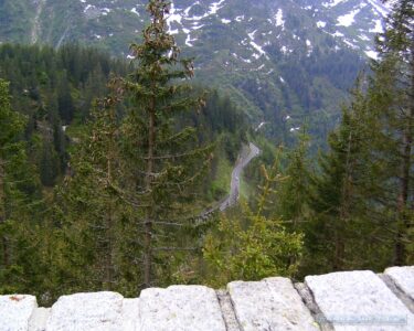 In de verte rijden ze..